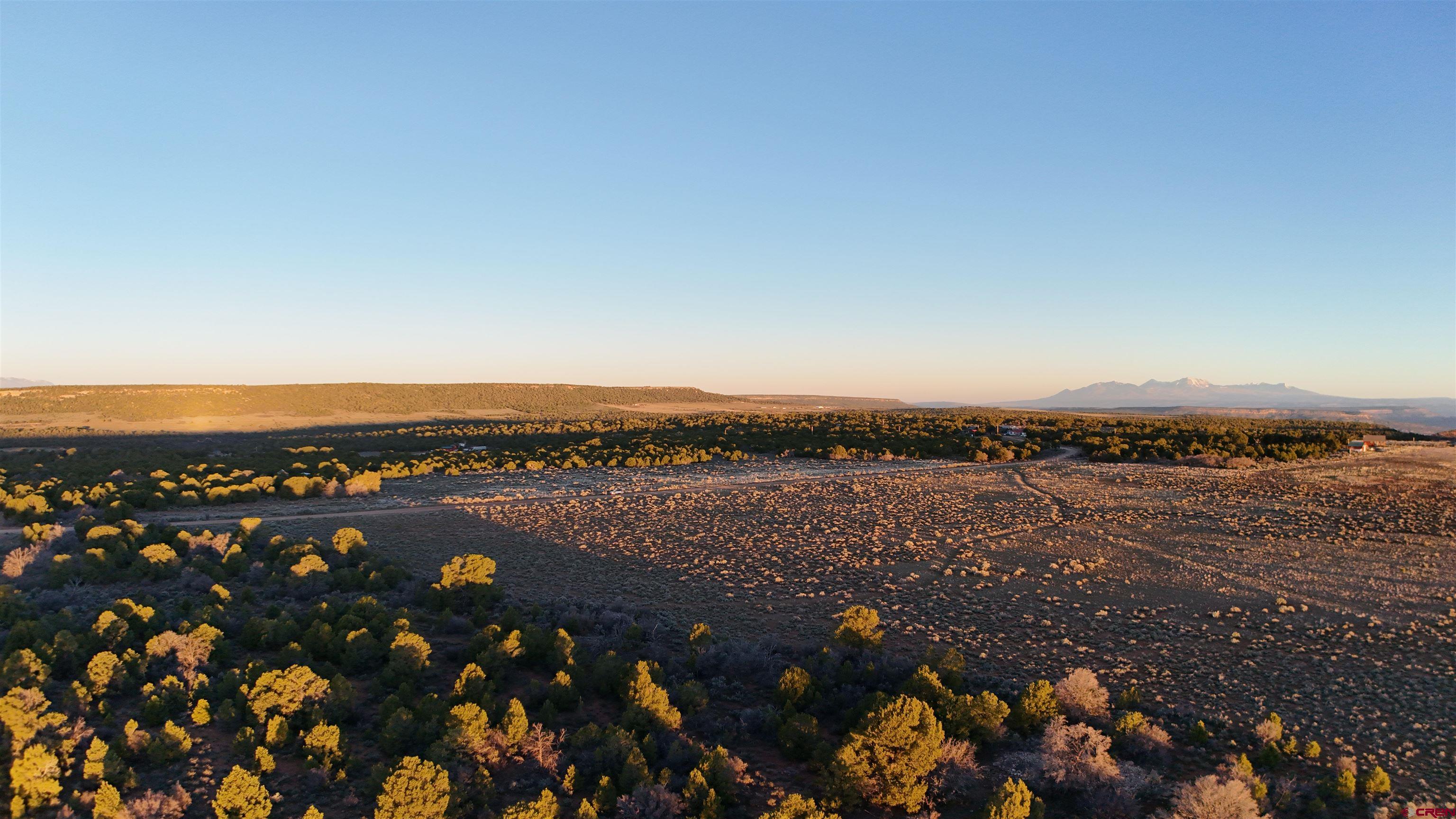 Tract 14 9k Road Egnar, CO 81325 - Photo 16 of 21