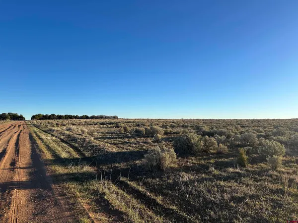 $68,000 | Tract 14 9k Road, Egnar, CO 81325