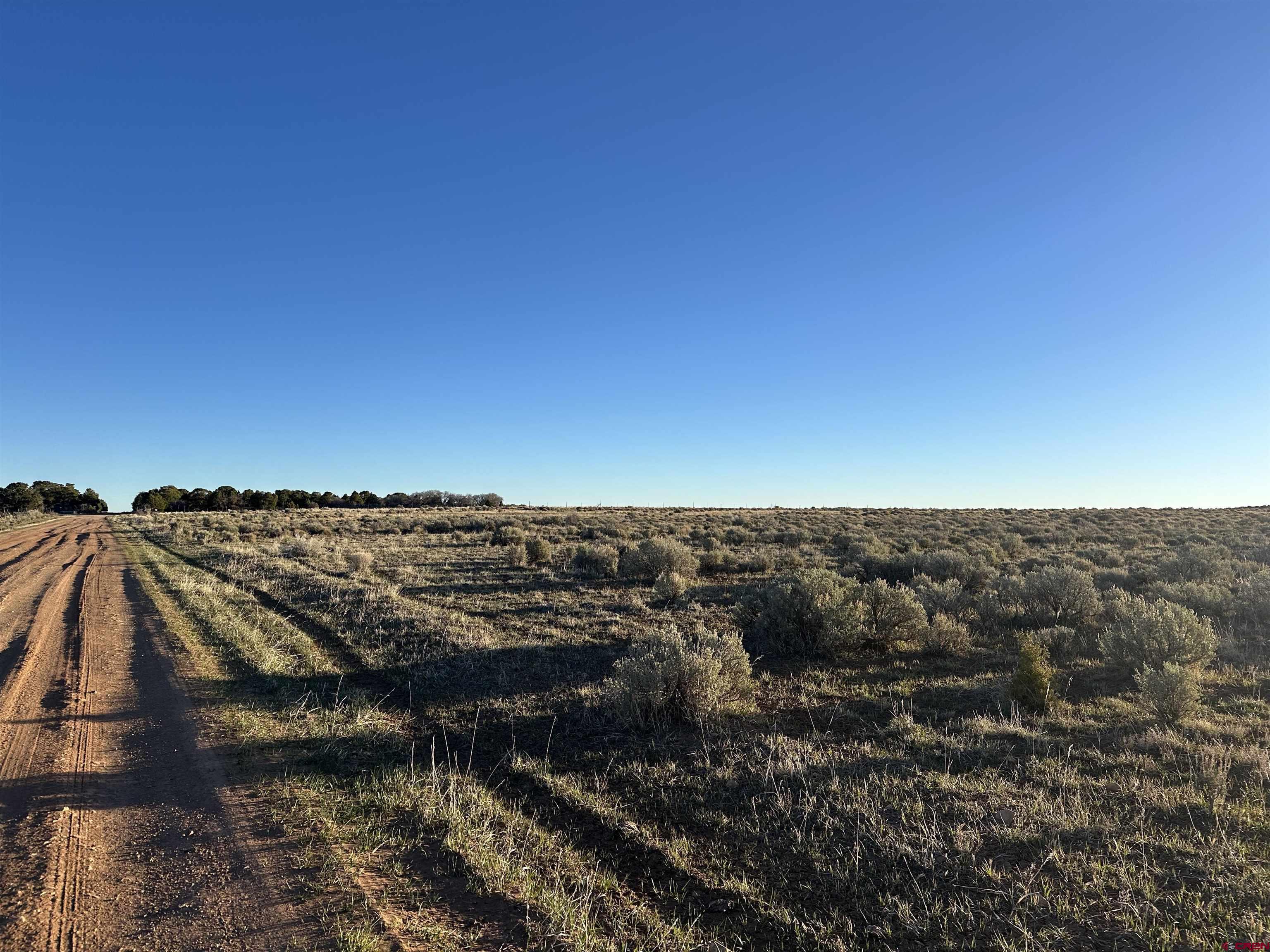 Tract 14 9k Road Egnar, CO 81325 - Photo 18 of 21