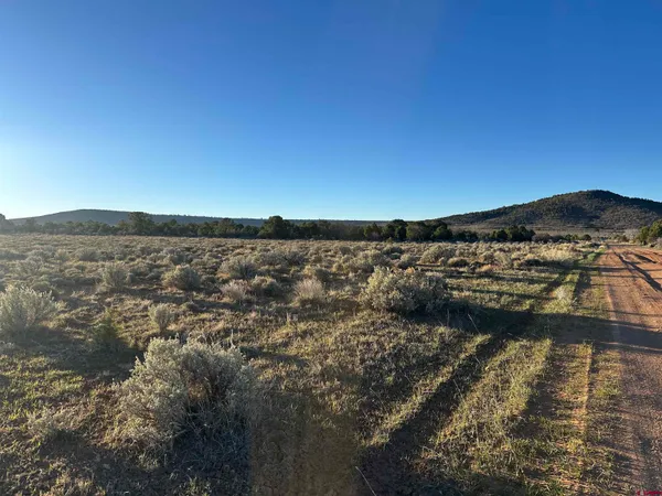 $68,000 | Tract 14 9k Road, Egnar, CO 81325