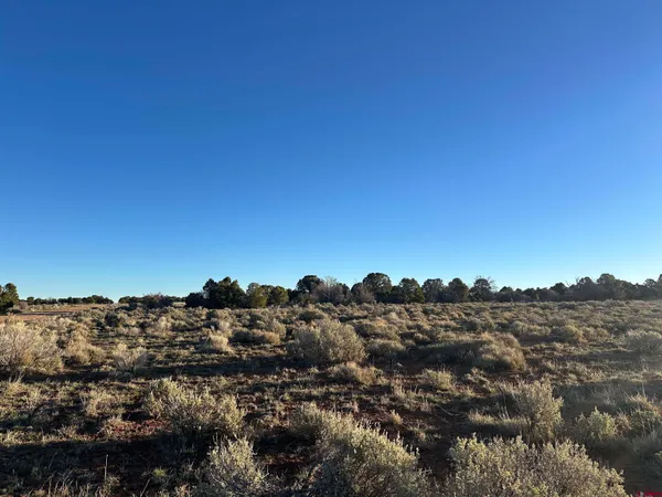 $68,000 | Tract 14 9k Road, Egnar, CO 81325