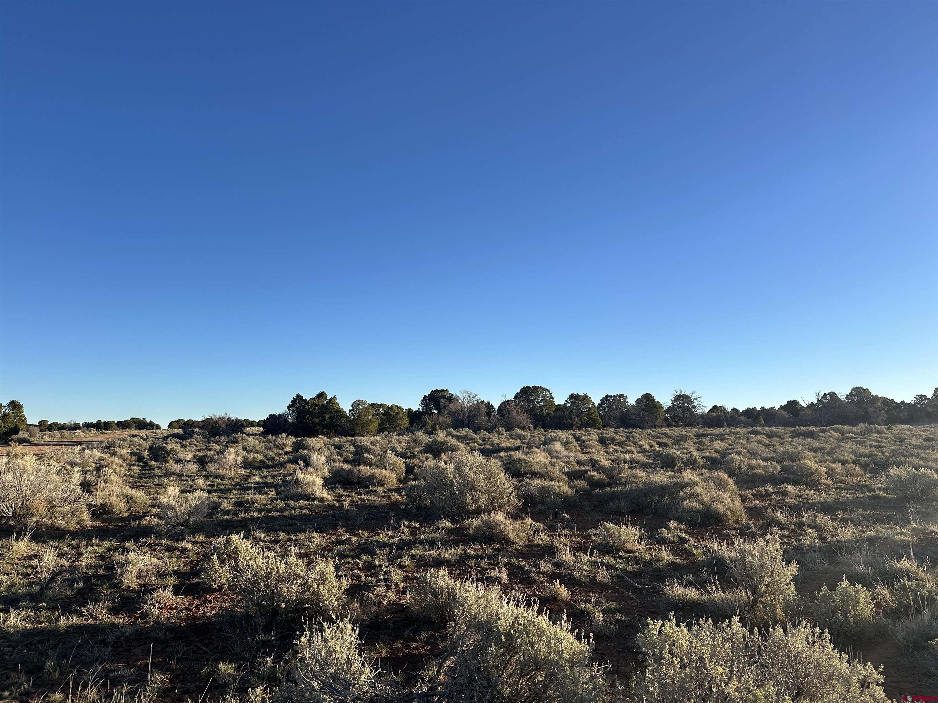 Tract 14 9k Road Egnar, CO 81325 - Photo 20 of 21