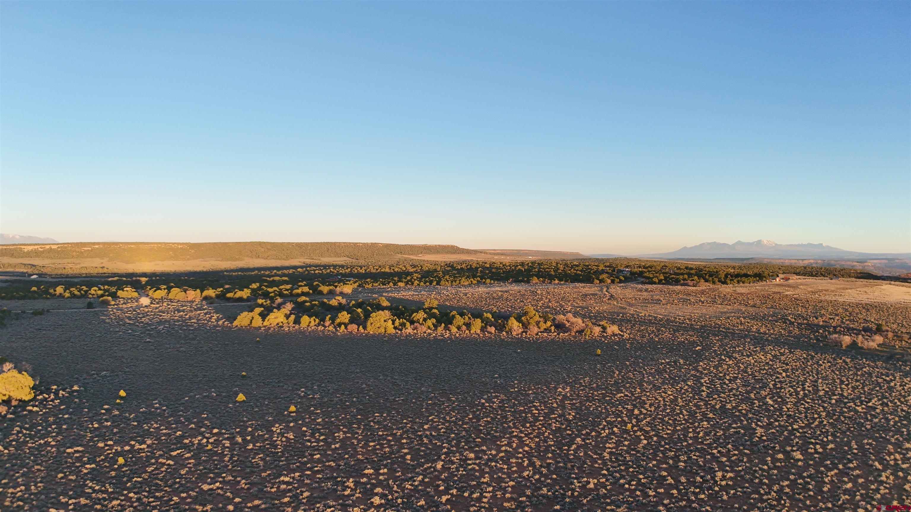 Tract 14 9k Road Egnar, CO 81325 - Photo 4 of 21