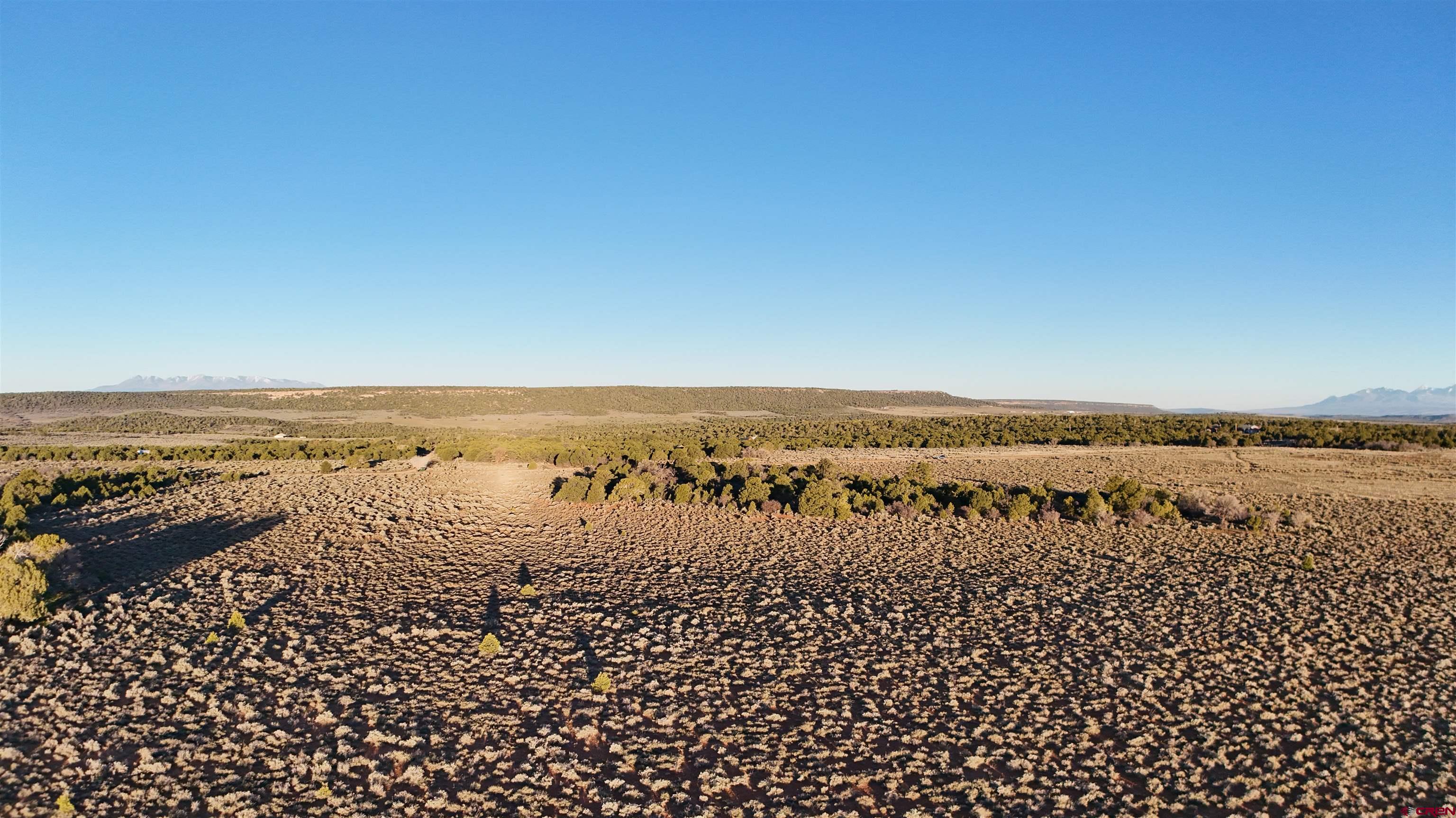 Tract 14 9k Road Egnar, CO 81325 - Photo 5 of 21