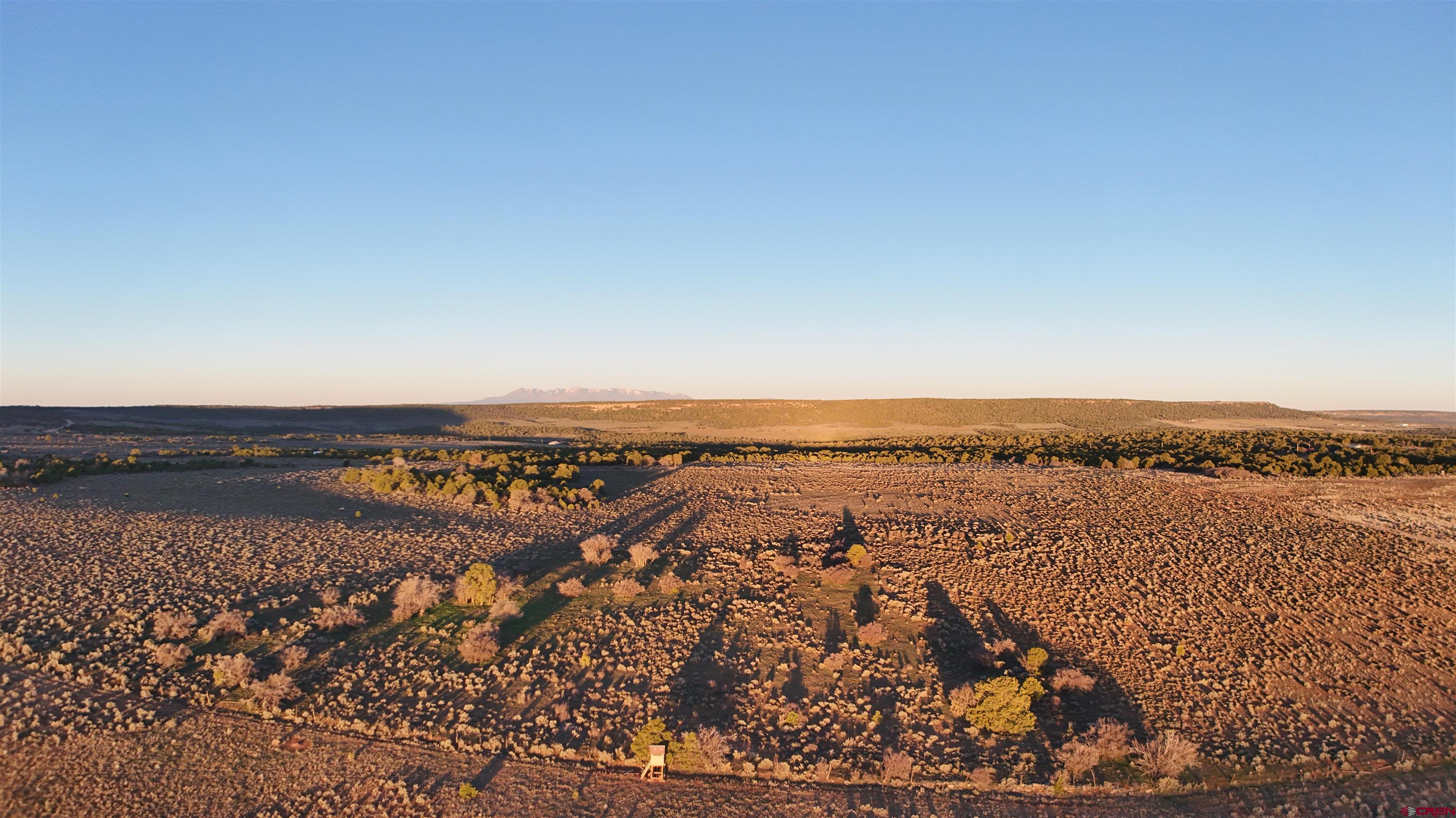 Tract 14 9k Road Egnar, CO 81325 - Photo 7 of 21