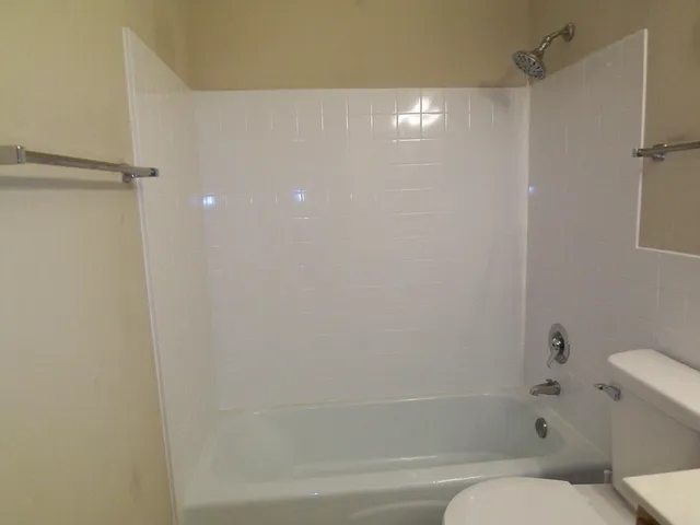 a bathroom with a shower and toilet