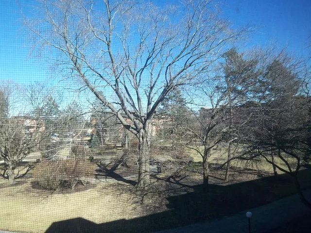 a workspace with furniture and window