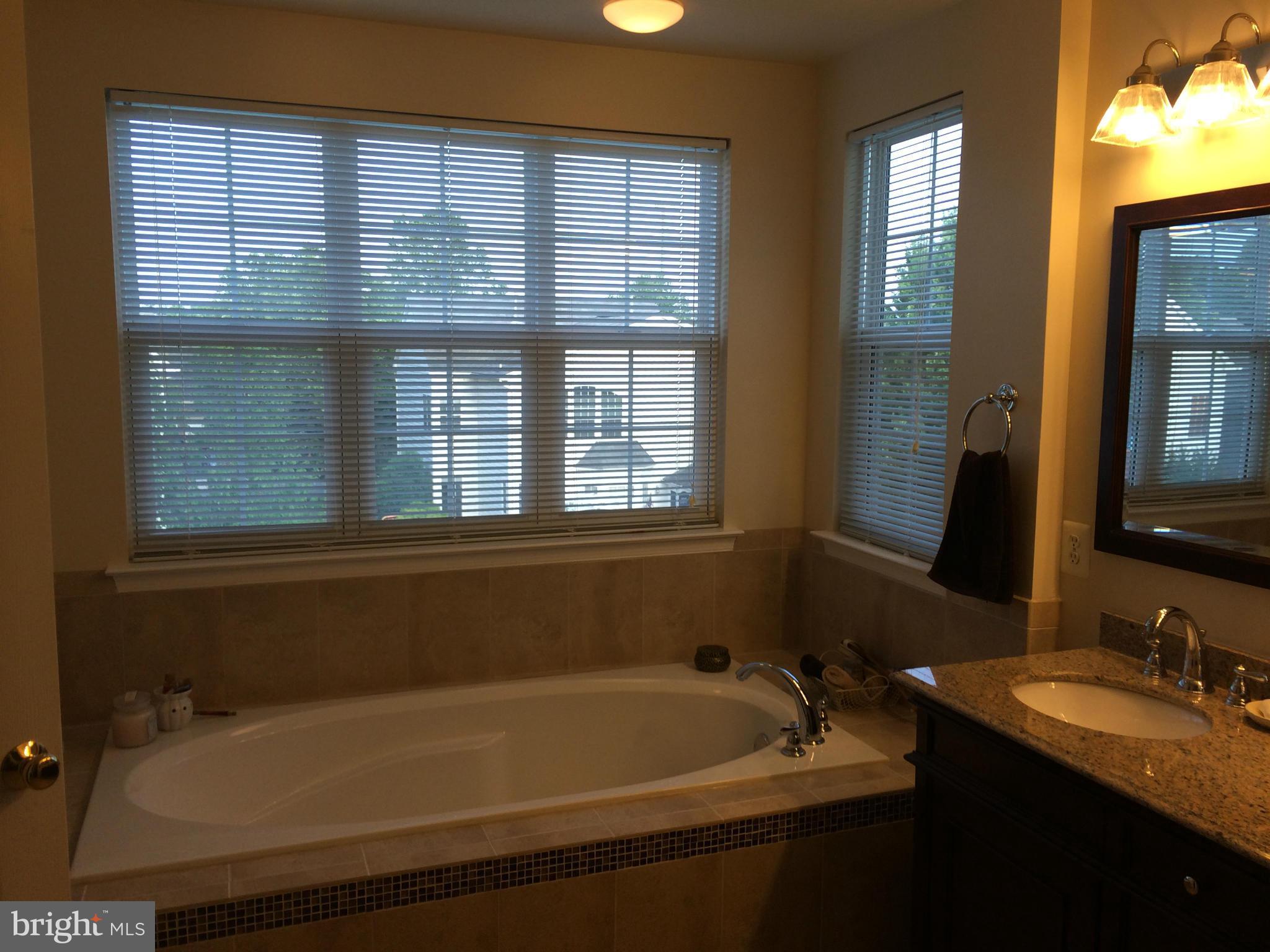 18248 Mill Spring Court Leesburg, VA 20176 - Photo 18 of 28 Bath (Master)