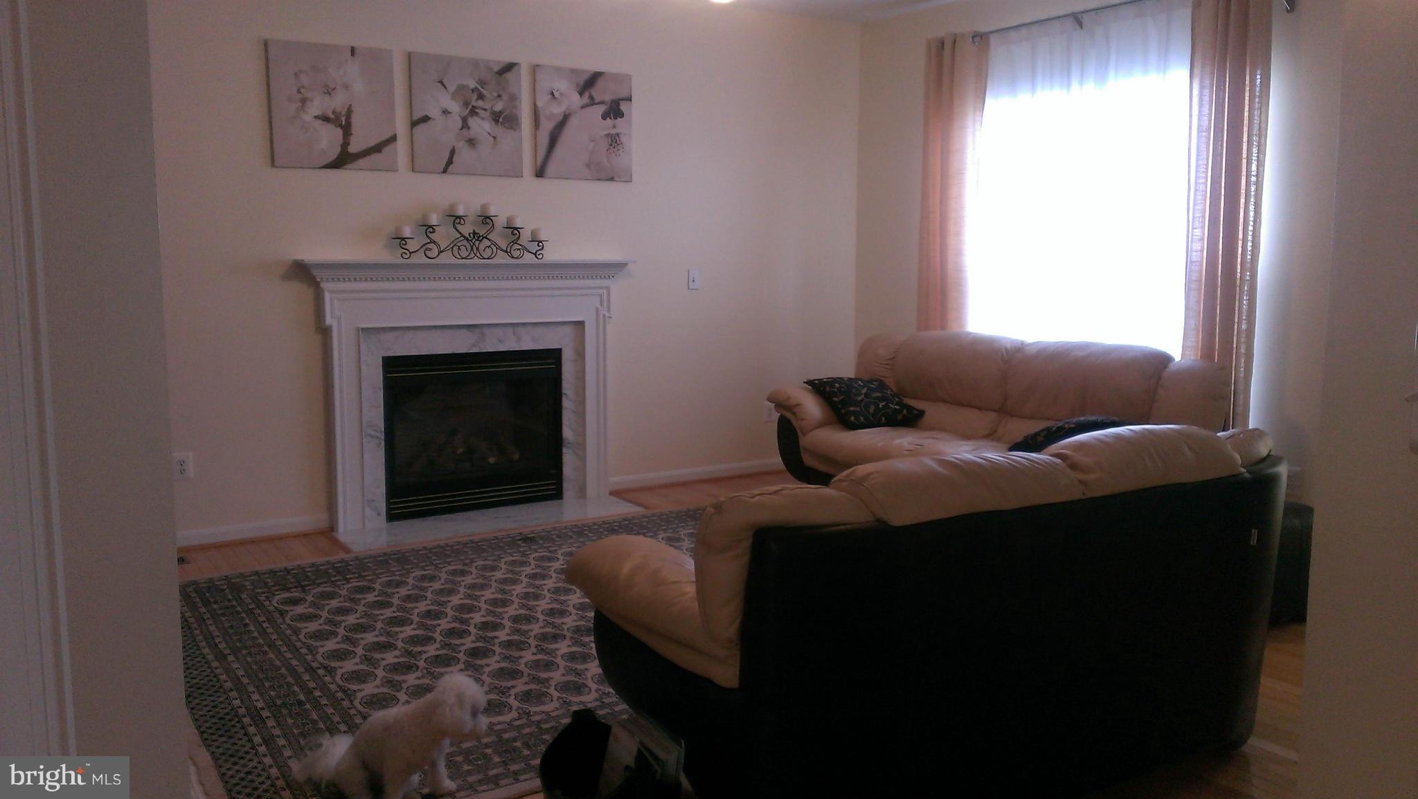 18248 Mill Spring Court Leesburg, VA 20176 - Photo 9 of 28 Family Room