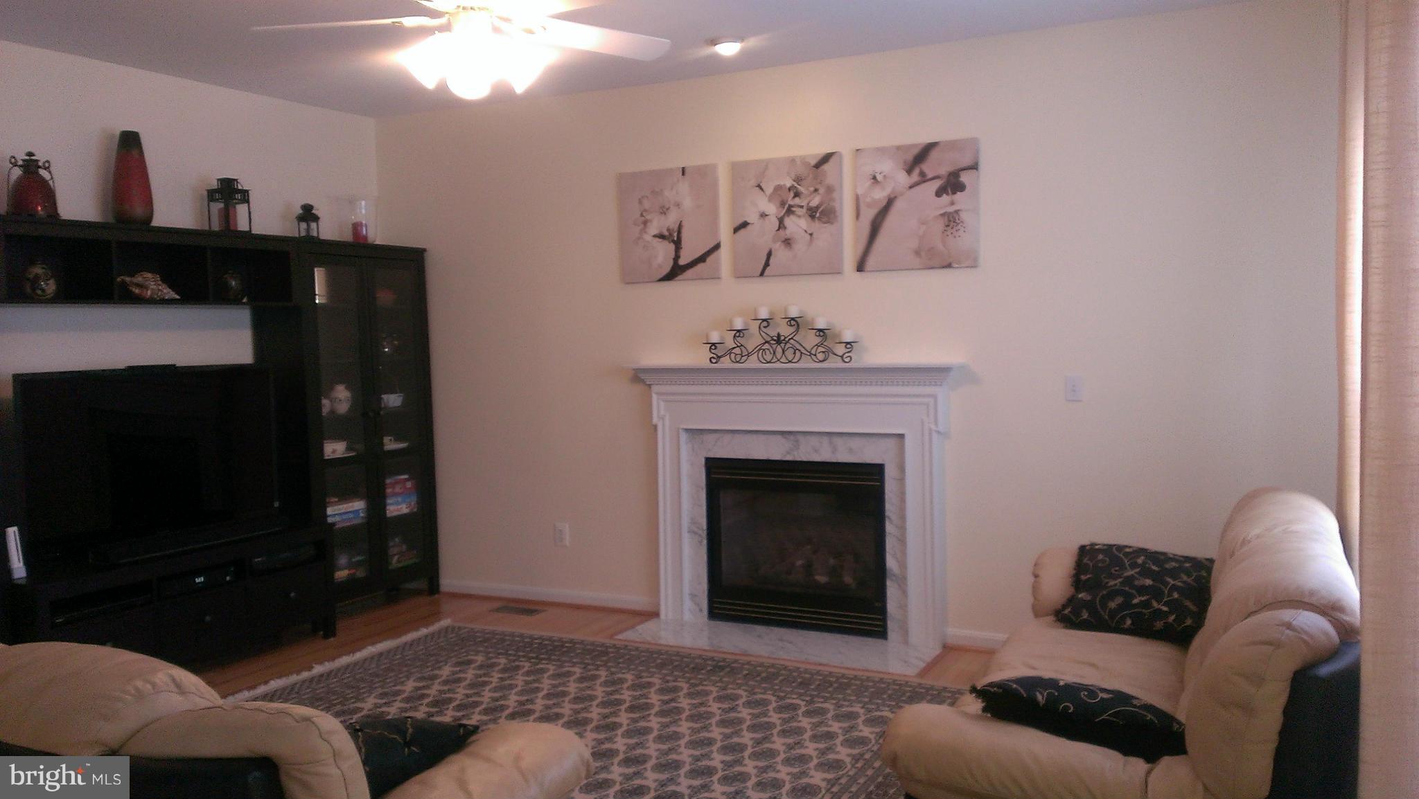 18248 Mill Spring Court Leesburg, VA 20176 - Photo 10 of 28 Family Room