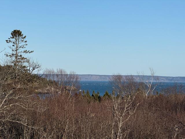 6 Cecelias Way Lubec, ME 04652 - Photo 46 of 64 IMG_7502 (1)
