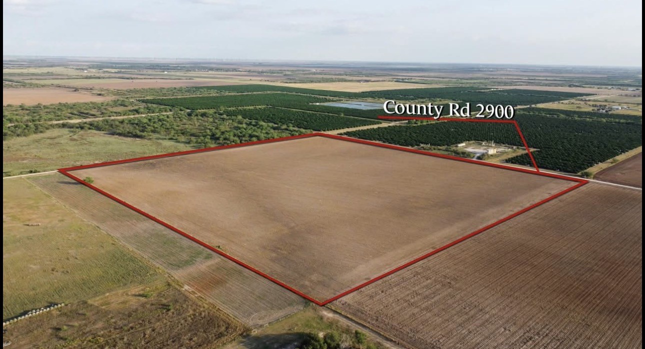 2900 County Road Winters, TX 79567 - Photo 3 of 15