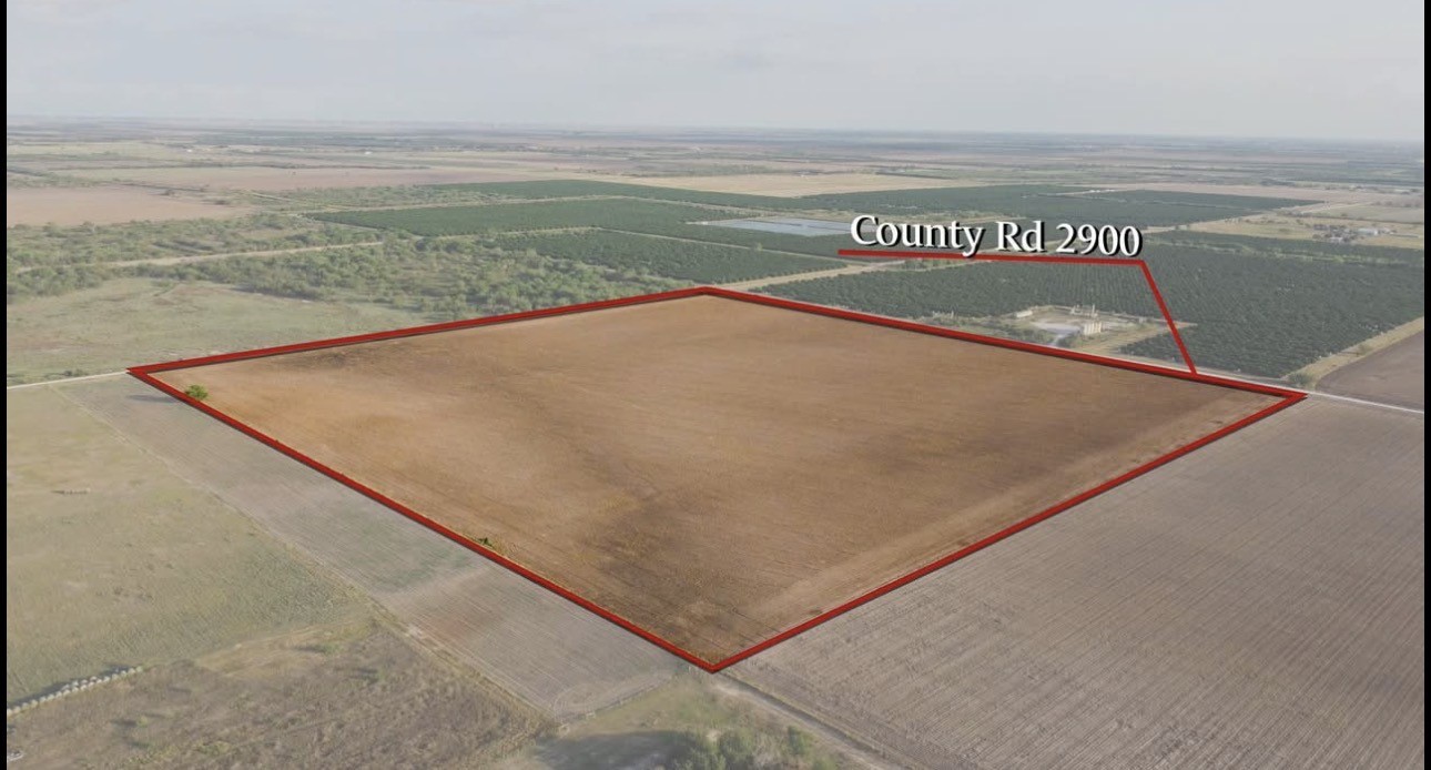 2900 County Road Winters, TX 79567 - Photo 4 of 15