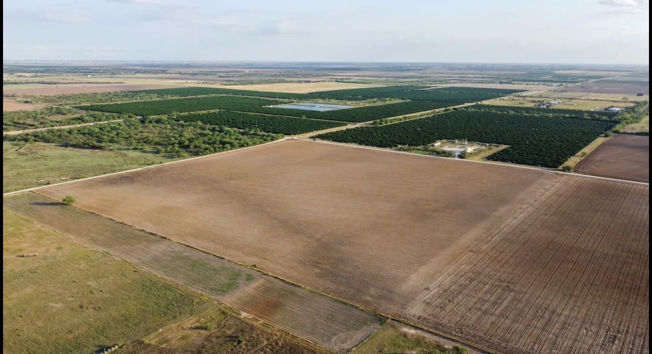 2900 County Road Winters, TX 79567 - Photo 5 of 15