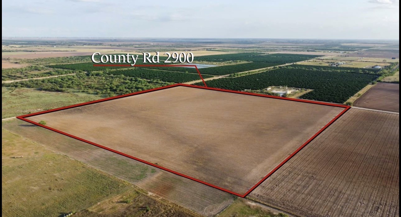 2900 County Road Winters, TX 79567 - Photo 6 of 15