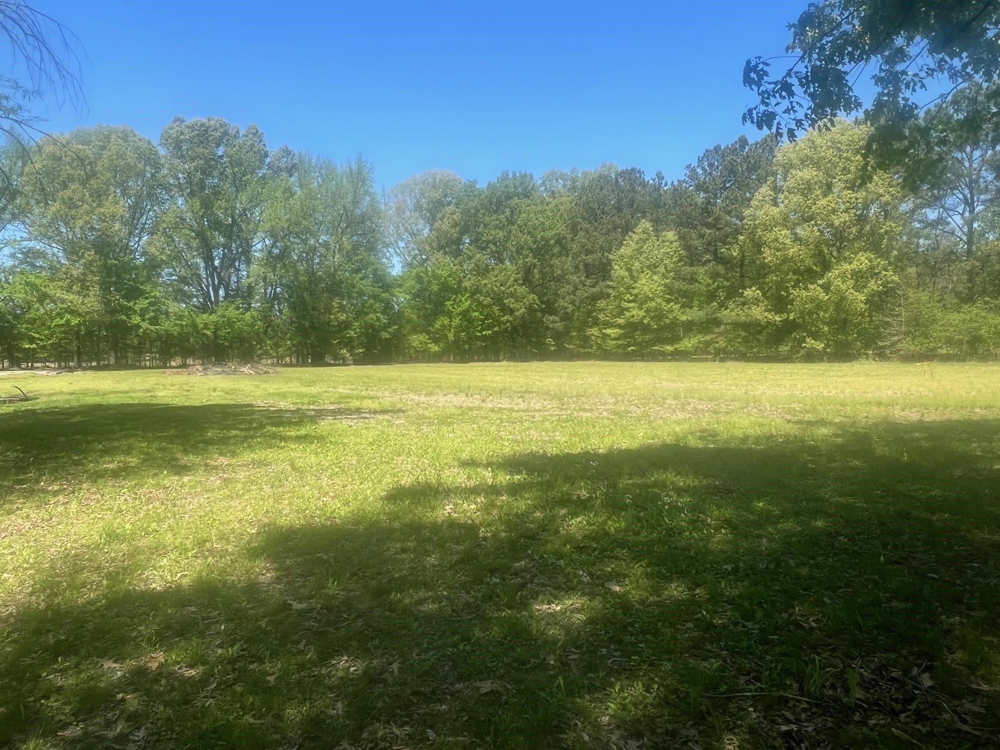 27-acres Sycamore Road Collierville, TN 38017 - Photo 4 of 12