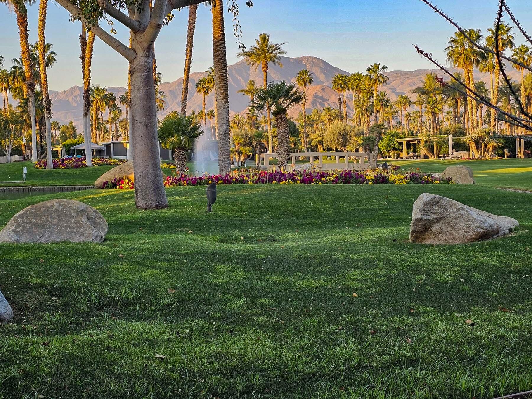 80394 Ave 48, Unit 234 Indio, CA 92201 - Photo 2 of 9 a view of a park with large trees