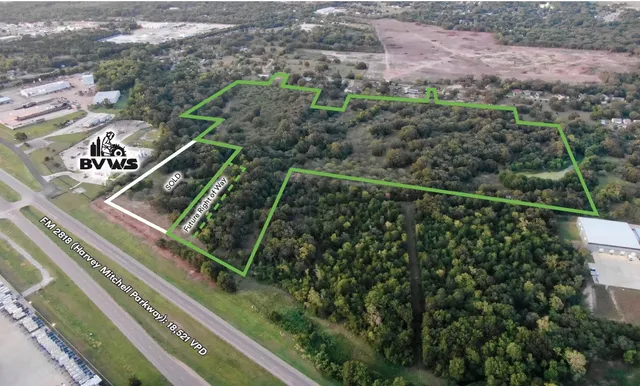 a view of a forest with a street