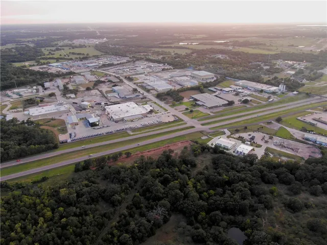 a view of a yard with plants
