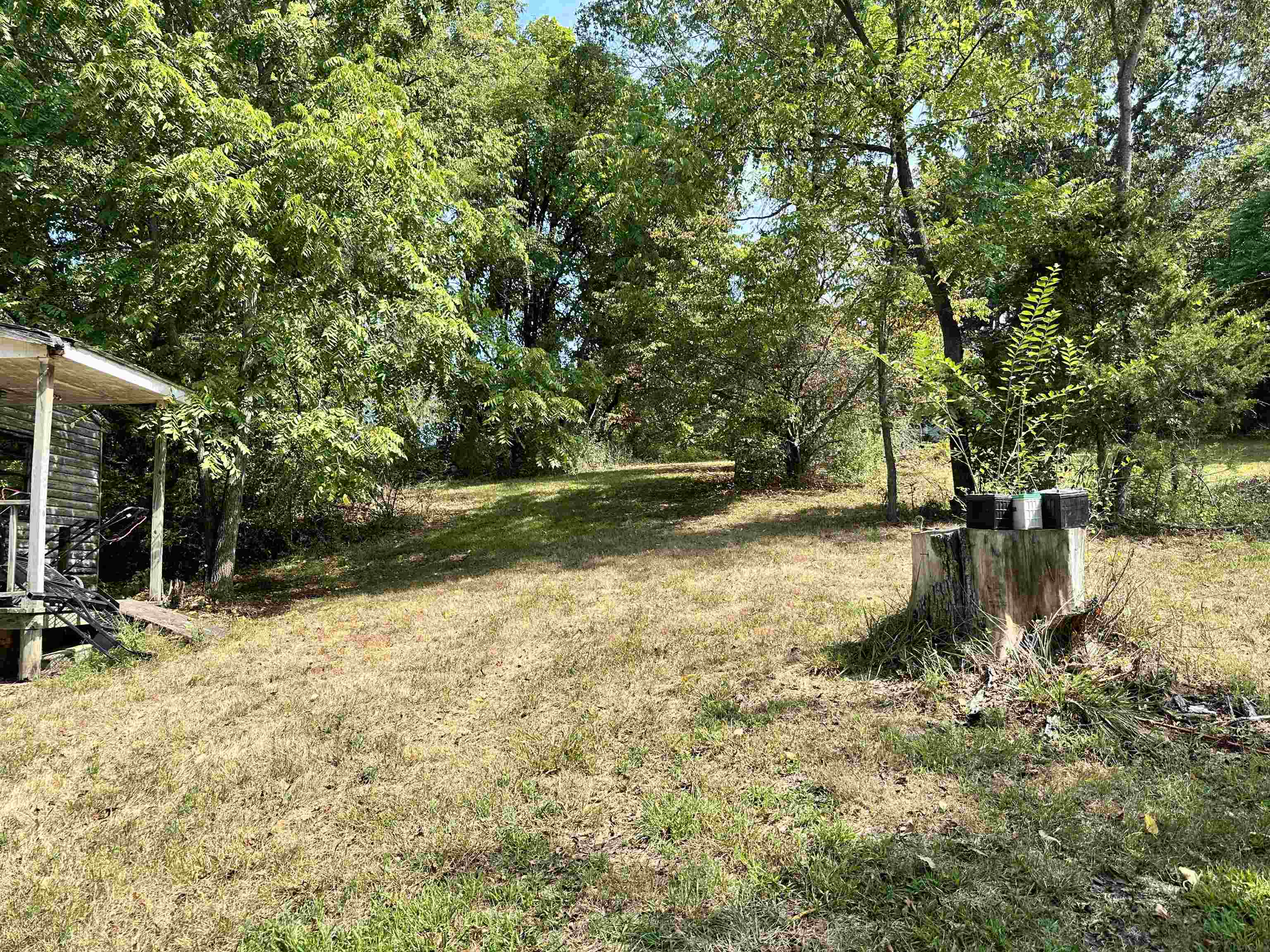 328 Dooms Crossing Road Waynesboro, VA 22980 - Photo 7 of 20 a view of a yard with wooden fence