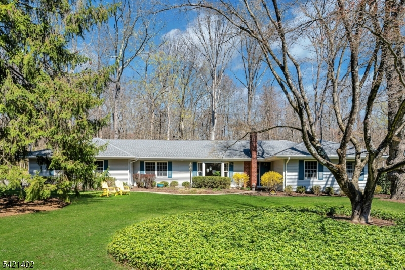 25 Yorke Road Mountain Lakes, NJ 07046 - Photo 28 of 28