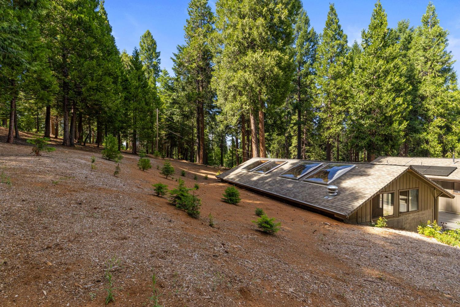 3070 Crystal Summit Road Pollock Pines, CA 95726 - Photo 54 of 76
