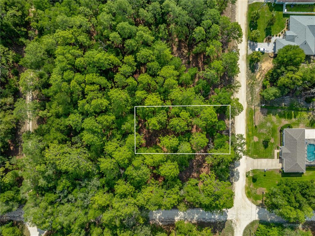Southwest 18th Place Ocala, FL 34481 - Photo 4 of 6
