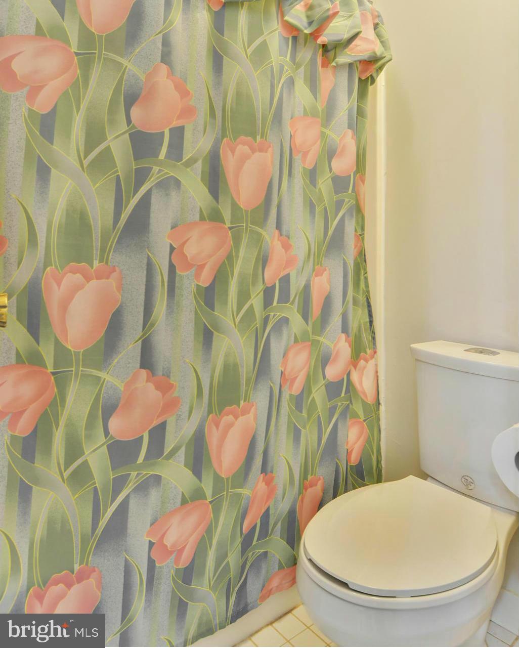 7260 Ridgeway Drive Manassas, VA 20112 - Photo 22 of 30 Bath (Master)