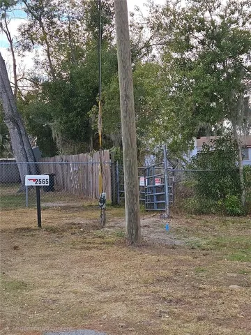a garden with lots of trees