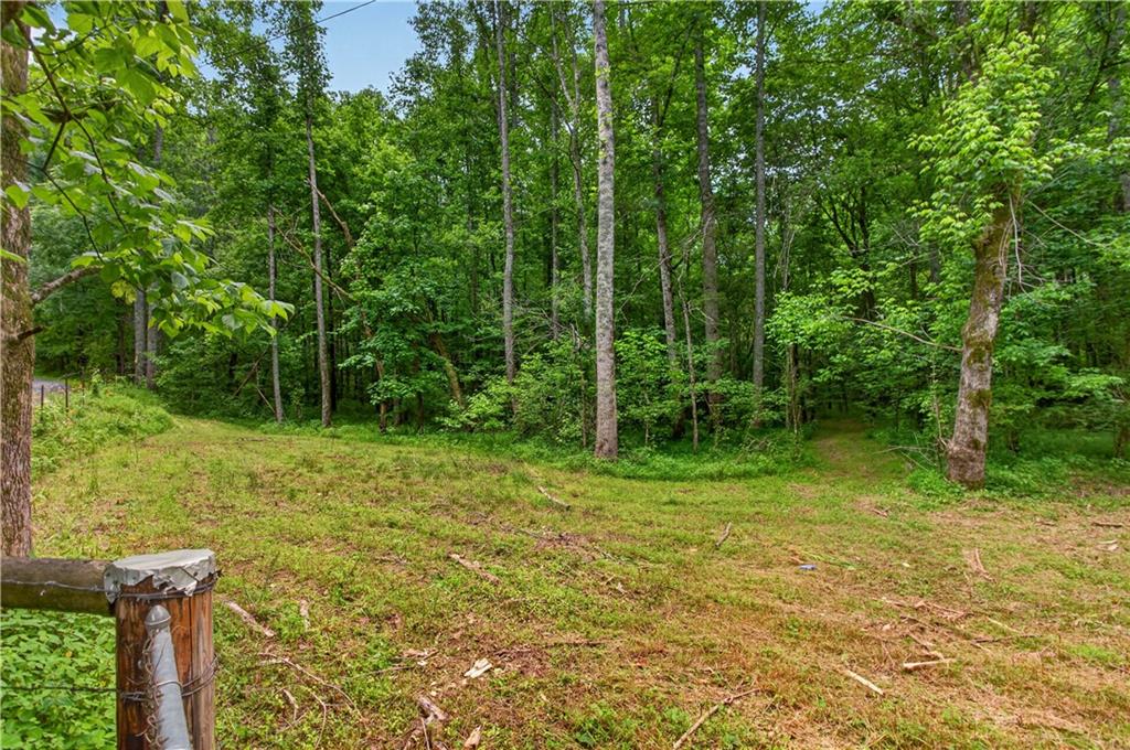 0 Parksbrook Road Ellijay, GA 30540 - Photo 50 of 67