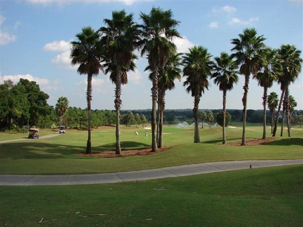 13007 Southeast 90th Court Road Summerfield, FL 34491 - Photo 62 of 78 Golf Course