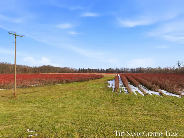 $377,428 | 9948 144th Avenue, West Olive, MI 49460