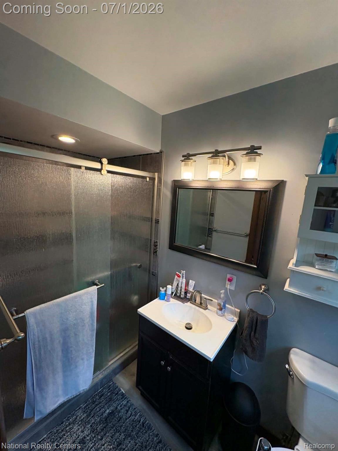 1330 Brauer Road Oxford, MI 48371 - Photo 43 of 54 Bathroom featuring a dark wood-finish vanity with an integrated sink, framed mirror, and three-light vanity fixture