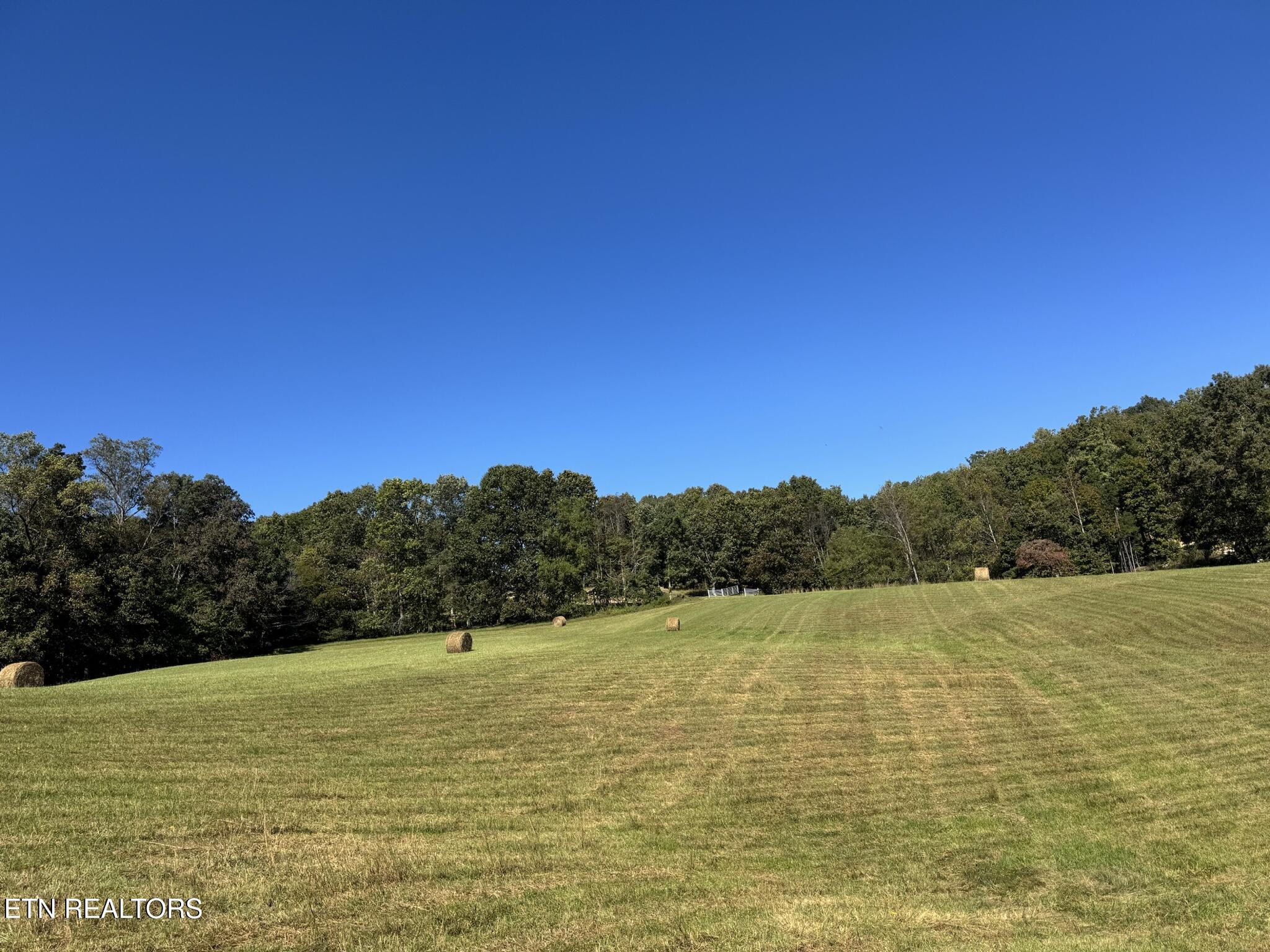 3225 Little Sycamore Road Tazewell, TN 37879 - Photo 7 of 22 09E4FF64-F8F6-4C4A-A762-1D5C250F9BC1