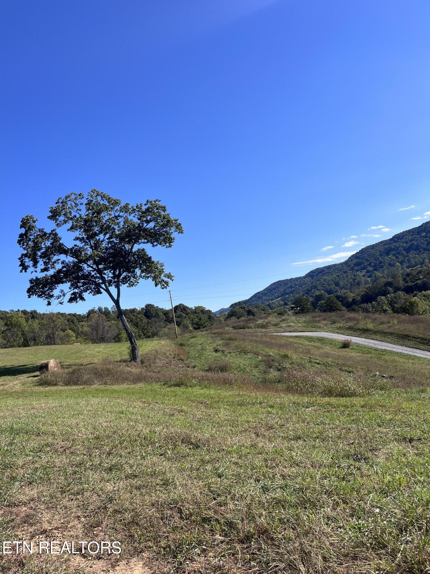 3225 Little Sycamore Road Tazewell, TN 37879 - Photo 8 of 22 82FA412D-D967-4A55-AF92-594A0E45C968