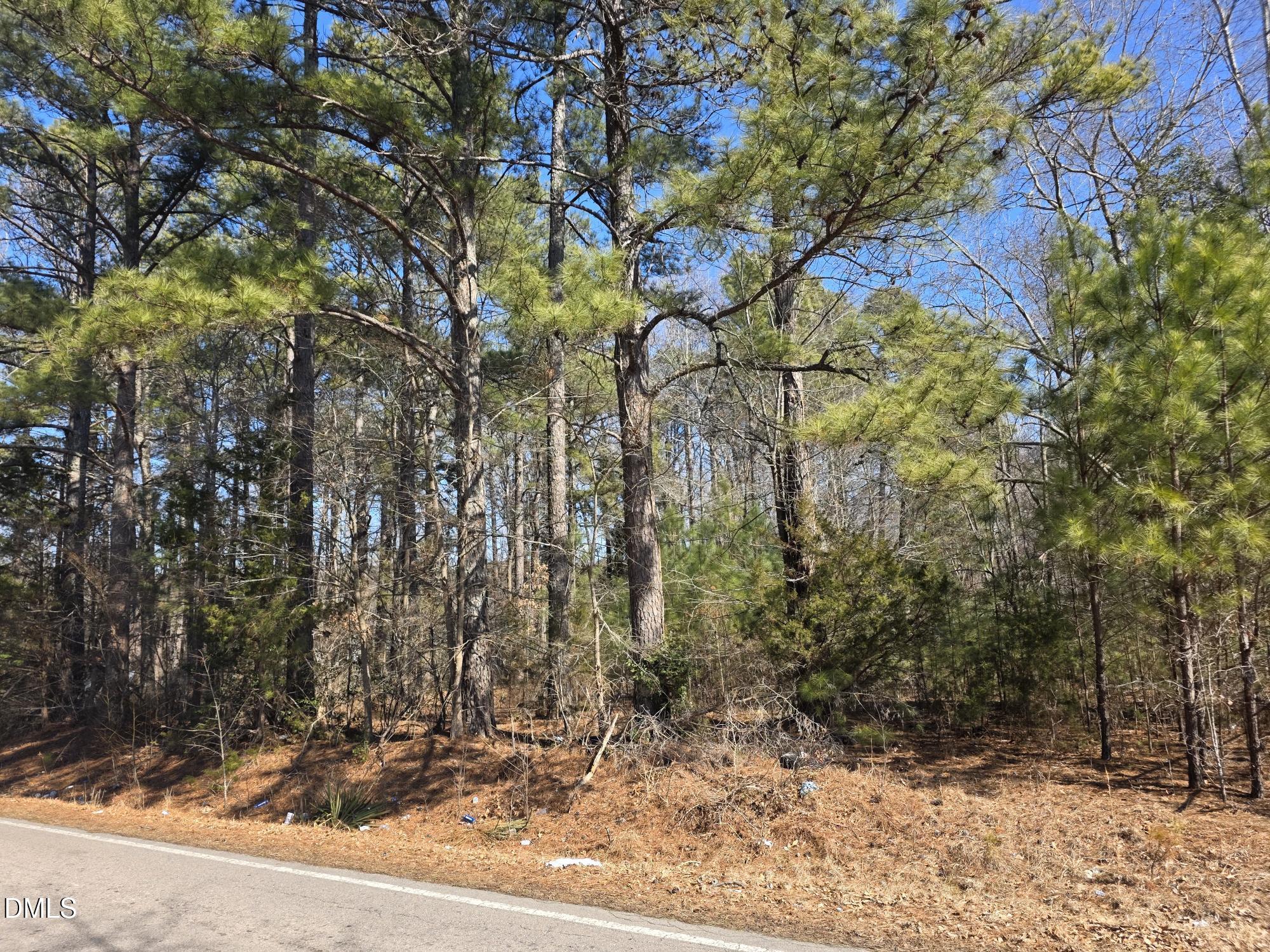 4113 Pearl Road Raleigh, NC 27610 - Photo 2 of 7 a backyard of a house with lots of trees