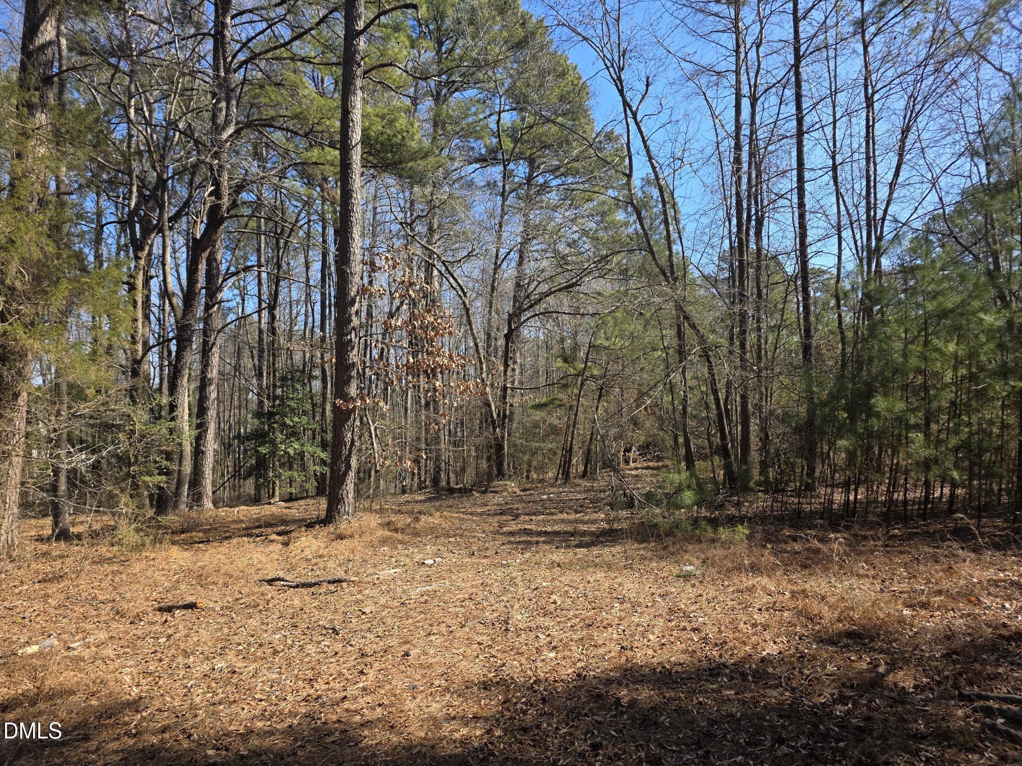 4113 Pearl Road Raleigh, NC 27610 - Photo 4 of 7 a backyard of a house with lots of green space