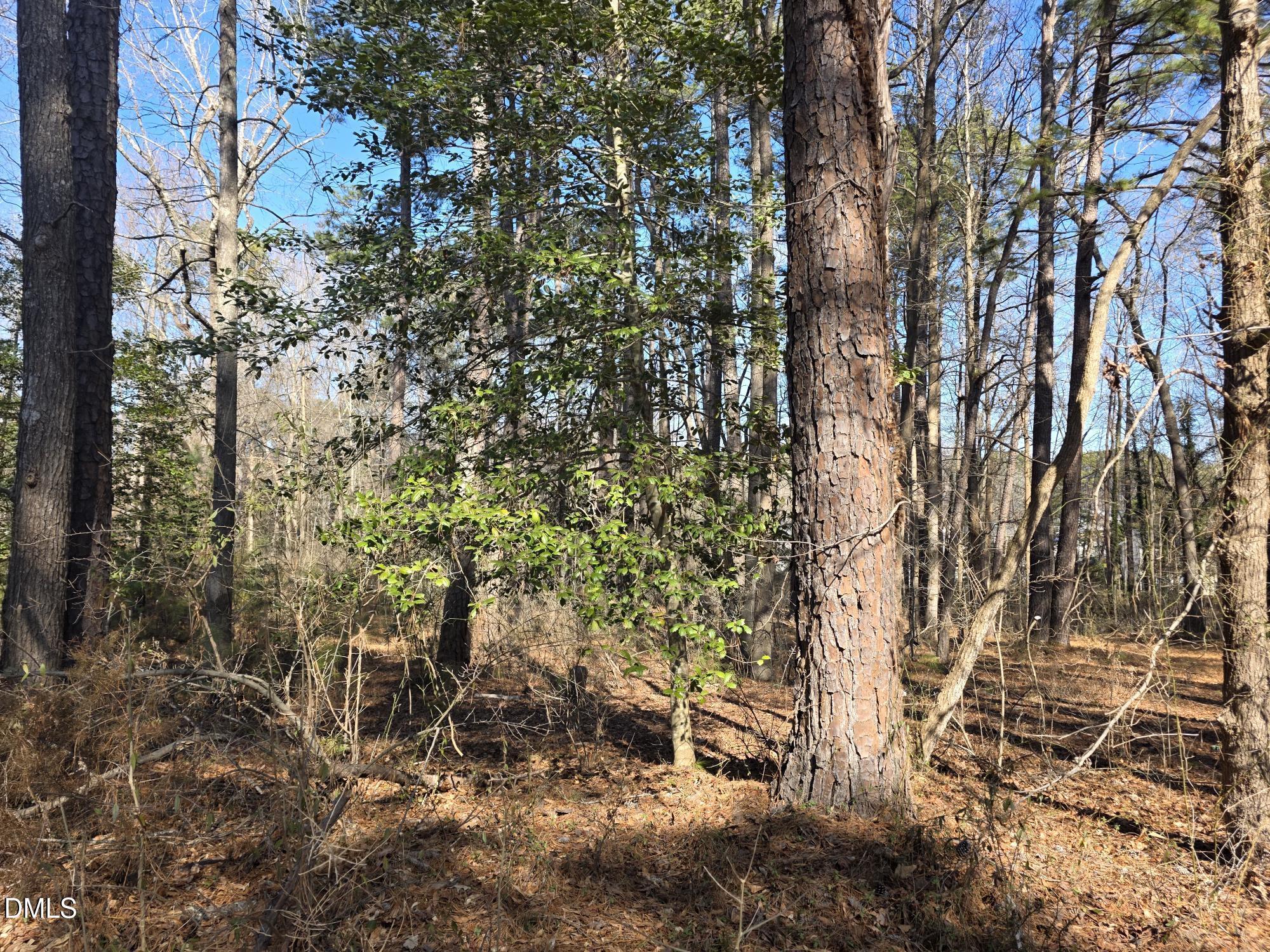 4113 Pearl Road Raleigh, NC 27610 - Photo 5 of 7 a backyard of a building with lots of trees