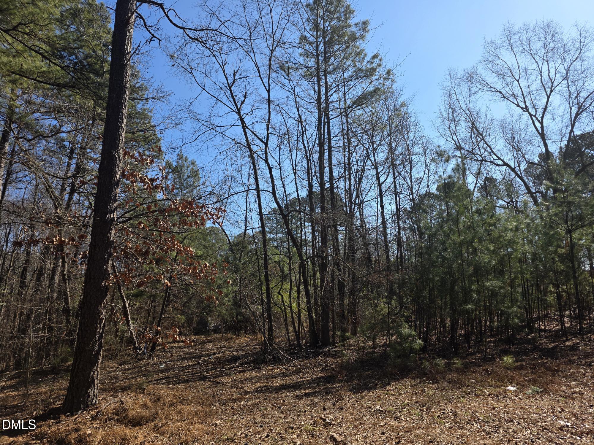 4113 Pearl Road Raleigh, NC 27610 - Photo 6 of 7 a view of outdoor space with trees