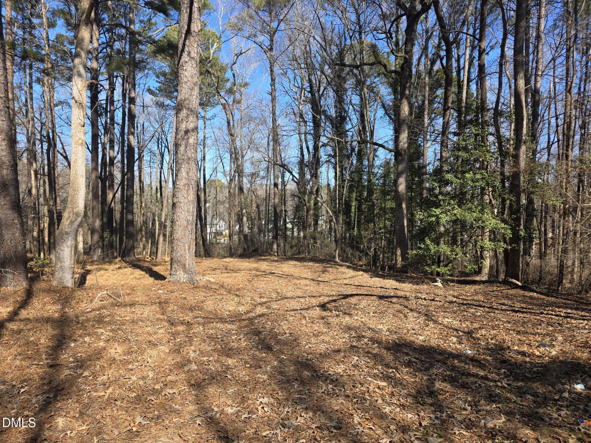 4113 Pearl Road Raleigh, NC 27610 - Photo 7 of 7 a backyard of a house with trees