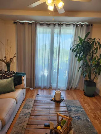 a living room with furniture and a potted plant