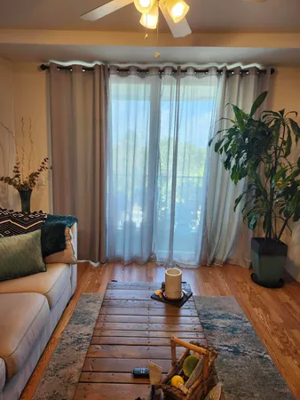 a living room with furniture and a potted plant