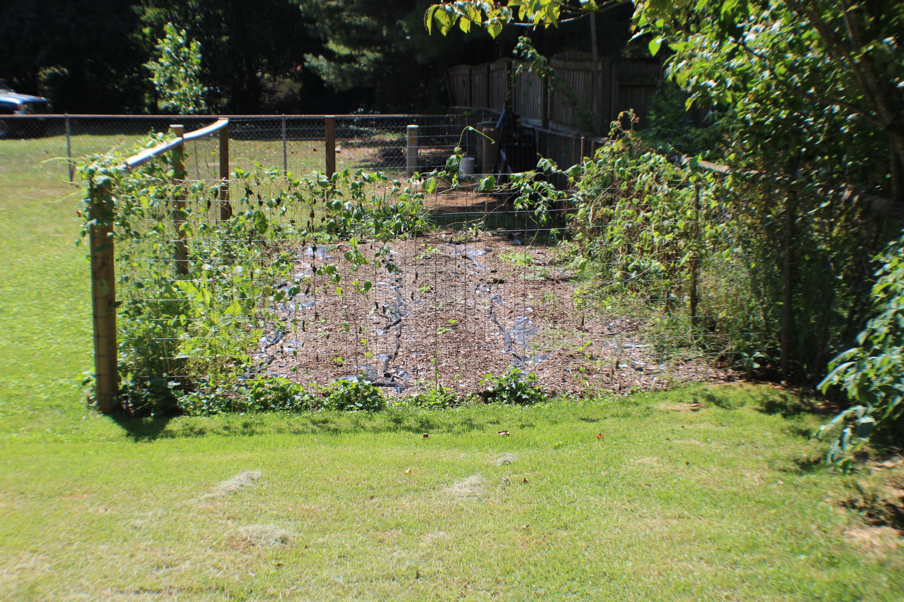 3735 Meadowlark Road Roanoke, VA 24018 - Photo 8 of 26 2016-09-07 01.00.00