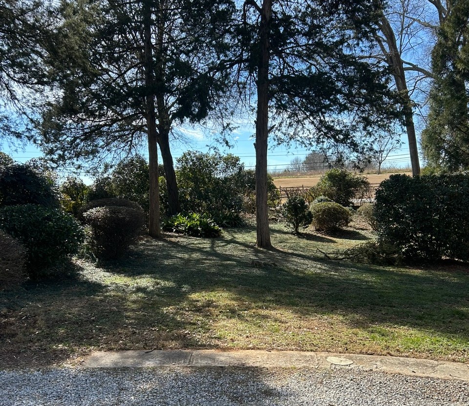 101 Laurel Lane Clemson, SC 29631 - Photo 4 of 36