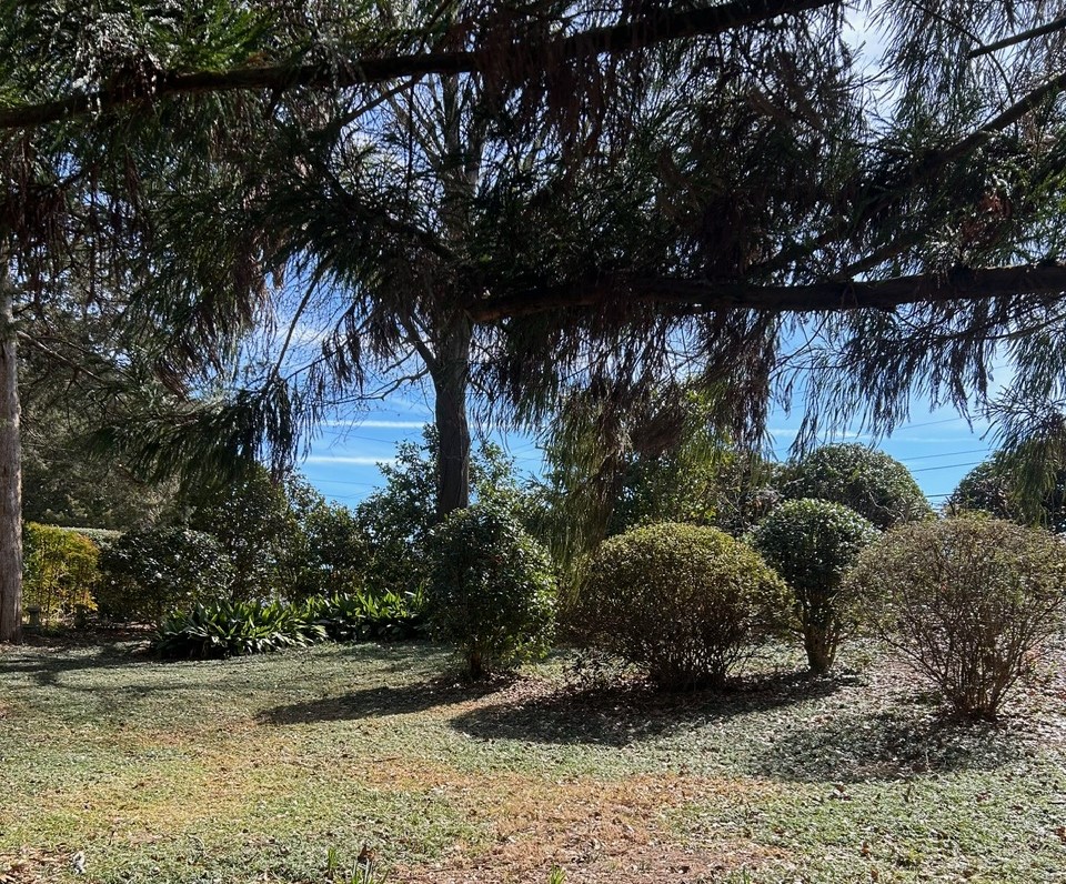 101 Laurel Lane Clemson, SC 29631 - Photo 5 of 36