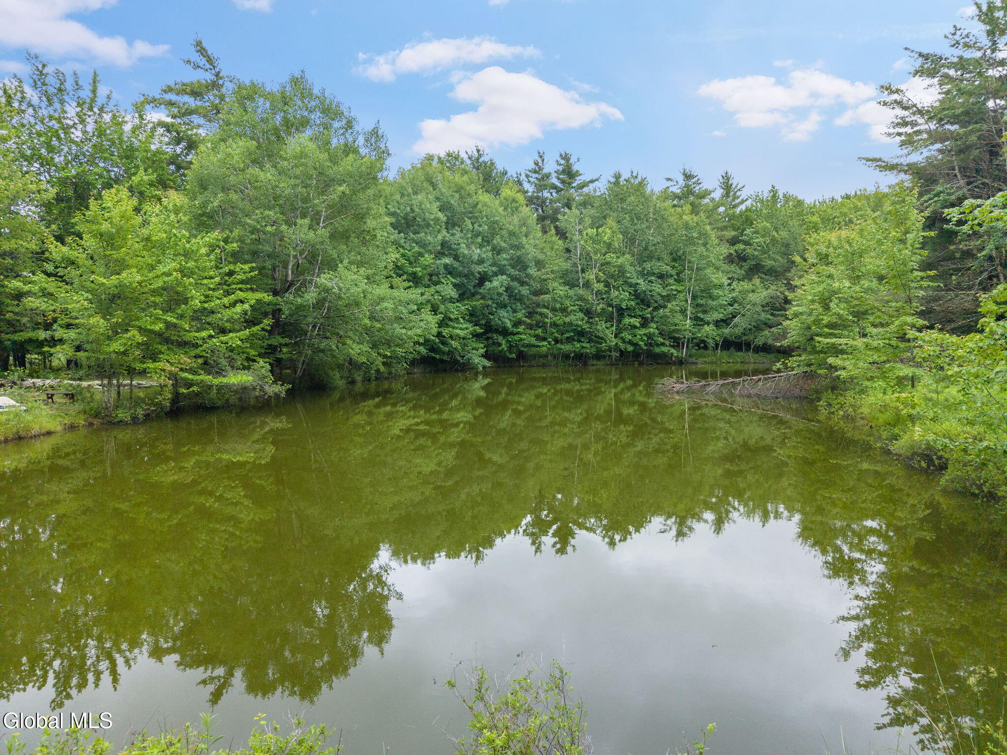 159 Ely Road Gilboa, NY 12076 - Photo 76 of 83 74-159ElyRd_74