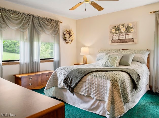 631 Short Brook Road Vincent, OH 45784 - Photo 18 of 31 Carpeted bedroom with a ceiling fan