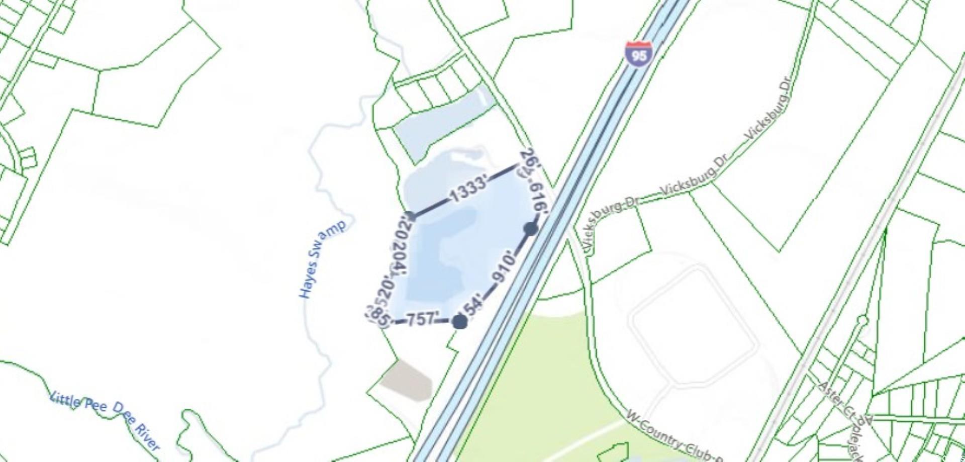 Tbd West Country Club Road Hamer, SC 29547 - Photo 2 of 10