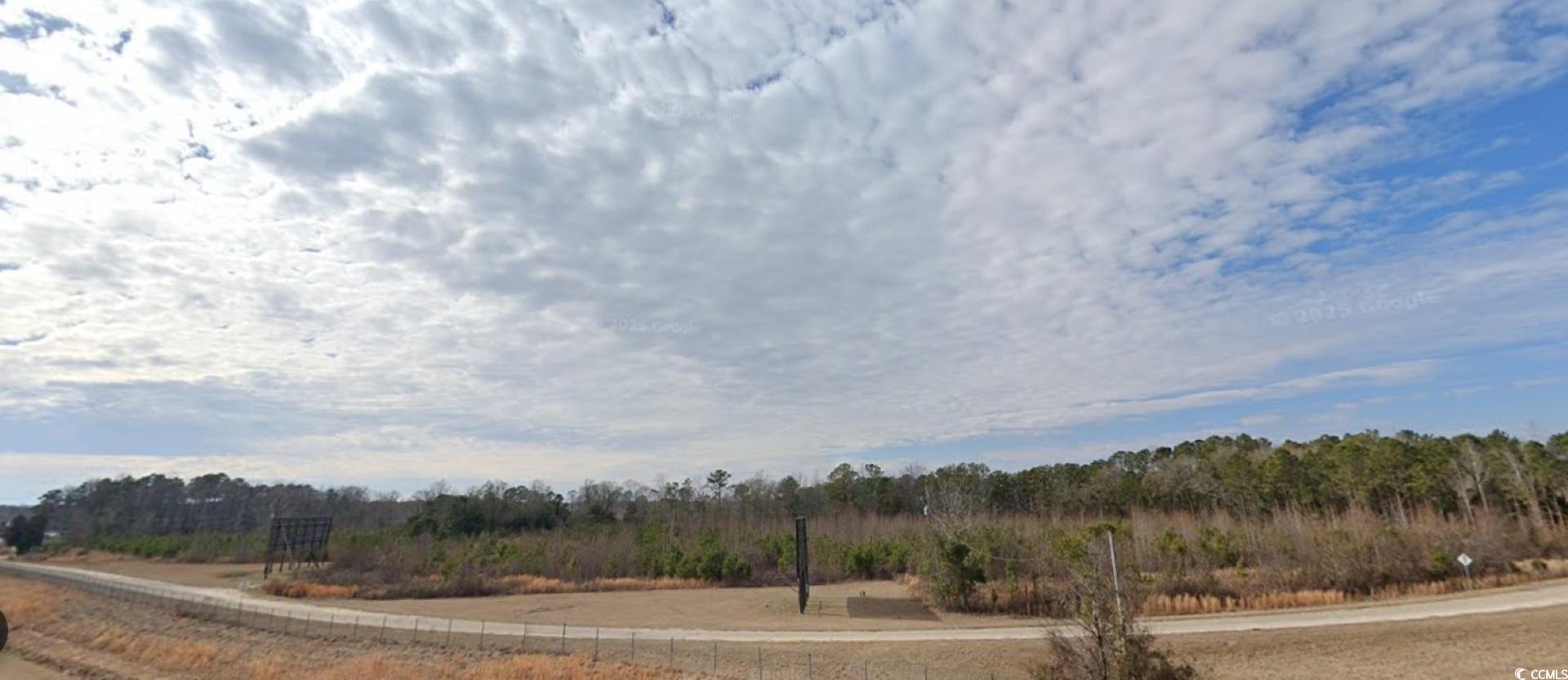 Tbd West Country Club Road Hamer, SC 29547 - Photo 4 of 10