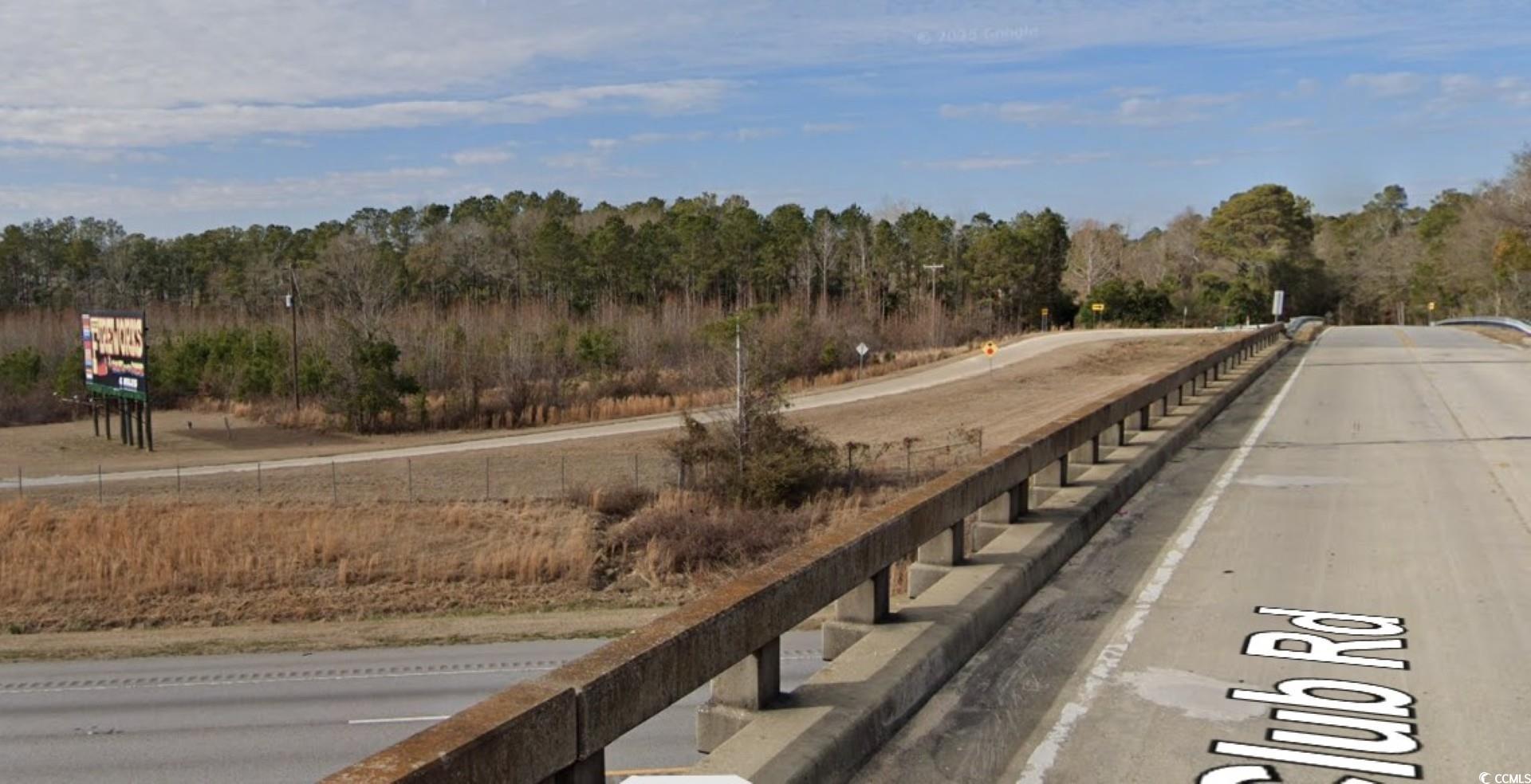Tbd West Country Club Road Hamer, SC 29547 - Photo 5 of 10